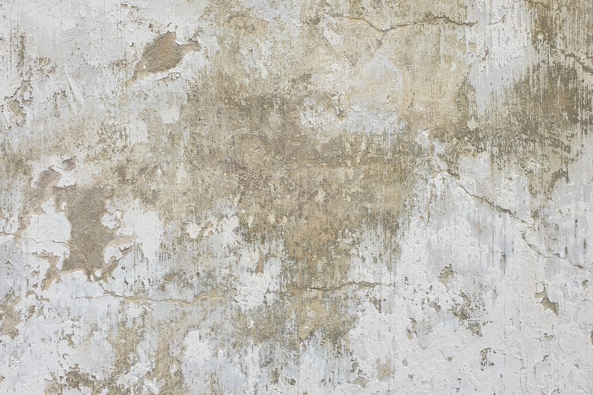 Mur intérieur marqué par l humidité, peinture écaillée